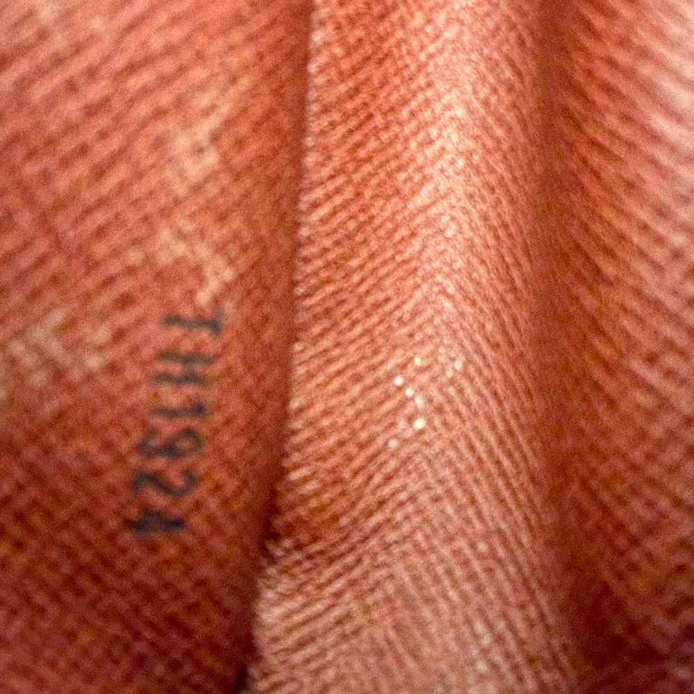 Louis Vuitton Monogram Amazon Bag - Picture 11 of 11